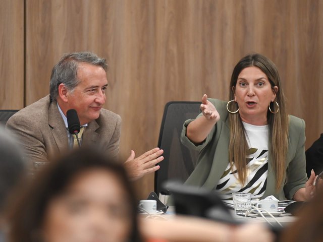 Diputados: la oposición avanza para modificar la ley de DNU y condicionar más a Milei