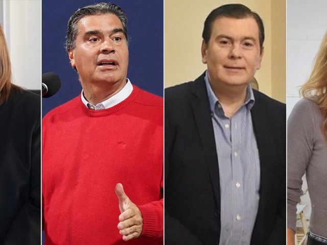 Uno por uno, quiénes son los 23 senadores que juran este viernes