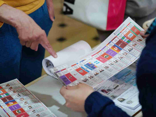 Más de 180 dirigentes políticos de distintos partidos piden que 15 provincias implementen la Boleta Única de Papel