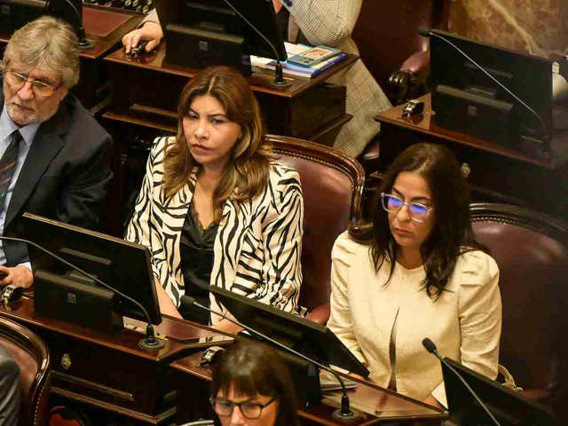 En medio de las críticas al proyecto oficial, el Senado debate la creación de una comisión por Malvinas