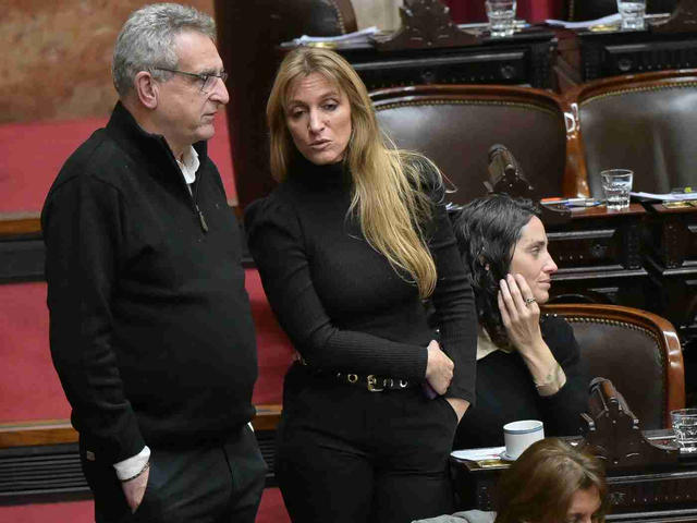 La oposición se opone al programa de ciudadanía argentina: aseguran que es el “plan B” para la venta de tierra a extranjeros