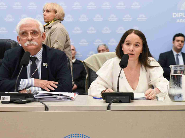 “Ley Malvinas”: el Gobierno rechazó dividir el proyecto como pide la oposición y propone crear una Bicameral de control en el Congreso