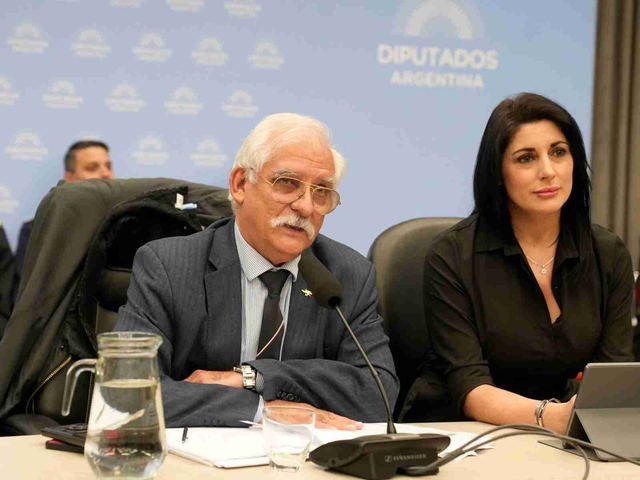 Ley Malvinas: el oficialismo no consigue el dictamen y le hará modificaciones al proyecto