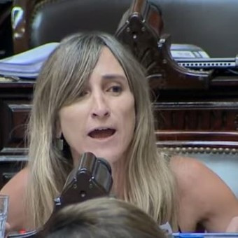 Una diputada libertaria propuso suspender los sueldos de los diputados que insulten en el Congreso