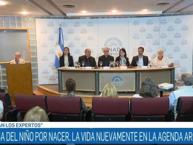 Contra el aborto: senadores libertarios quieren volver a poner “la vida” en agenda