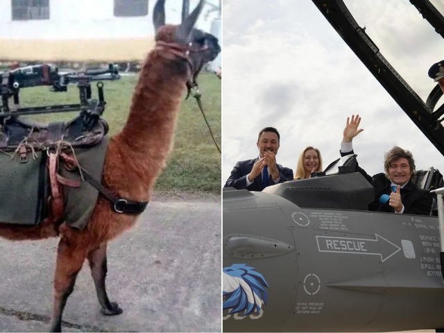 Santilli celebró la llegada de los F-16 con un irónico mensaje contra el kirchnerismo: “Pasamos de incorporar llamas metralletas a aviones de combate”