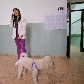 Escándalo en el Senado: una senadora libertaria quiso caranchear un despacho y la pescaron
