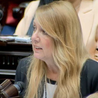 Licencias por enfermedad: dos diputados aliados presentaron un proyecto para volver a la carga con el tema