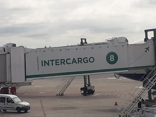 Privatizaciones: el Gobierno informó cómo será el proceso para la venta de Intercargo