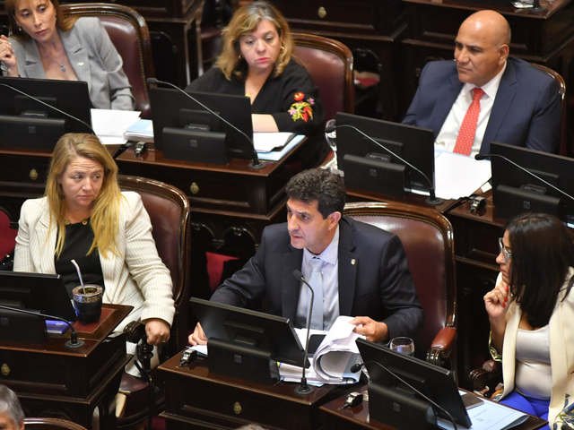 Quiénes son los senadores peronistas que apoyaron con su voto al primer Presupuesto de la era Milei
