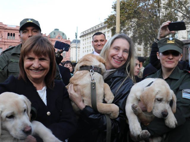 El Gobierno prepara una reforma profunda en Seguridad: el ministerio gana poder y tendrá una Policía Migratoria