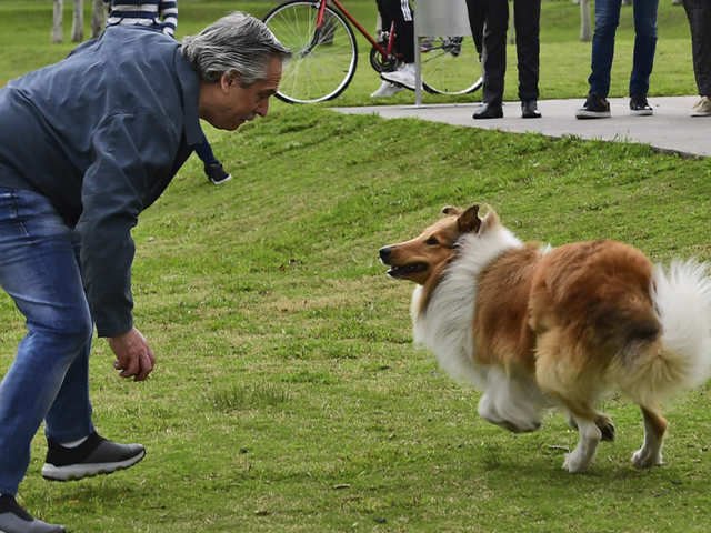 Cuando la política a veces se vuelve “una vida de perros”