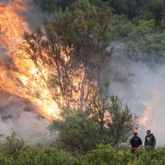 Incendios en Chubut: el fuego continúa activo y deja imágenes impactantes