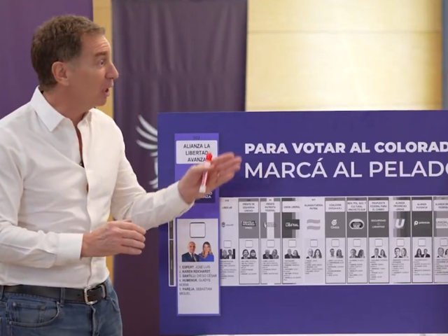 “Para votar al colorado, marcás al pelado”: el spot de La Libertad Avanza para la provincia en el que evitan nombrar a Espert