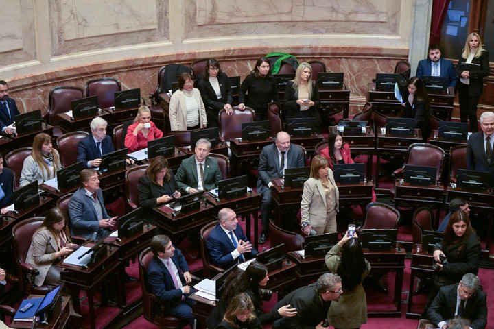 Recinto del Senado, este jueves. Foto: Federico López Claro.