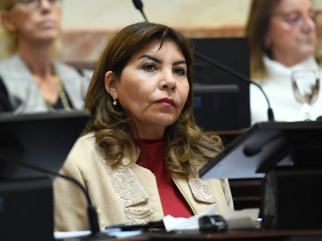 Sigue la sangría en el peronismo K del Senado y crecen los federales