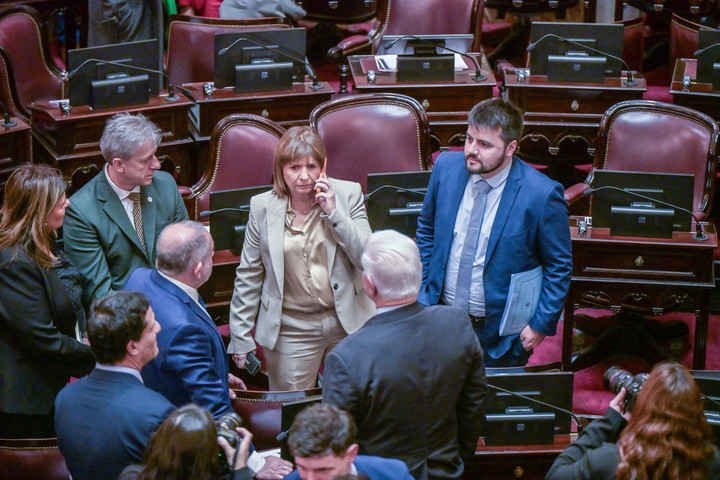 Patricia Bullrich con otros senadores, este jueves. Foto: Federico López Claro.