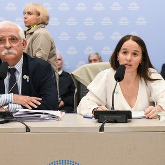 El oficialismo desactiva la sesión opositora por el DNU 70 pero se dilata el proyecto Malvinas