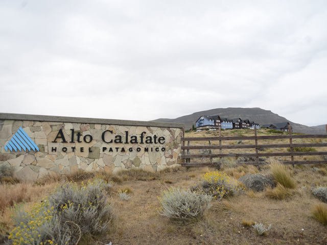 Hotesur: rechazaron el pedido del fiscal para que comience lo antes posible el juicio contra Cristina y Máximo Kirchner por lavado