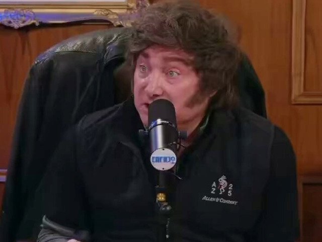 Milei respaldó al diputado que se compró un Tesla y reveló que le pidió a Elon Musk que le regale uno: “Pero no me dio pelota”